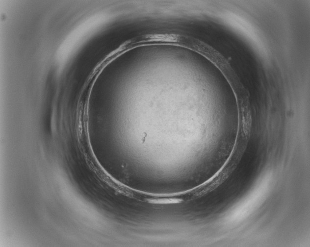 X0000067521487200604101314