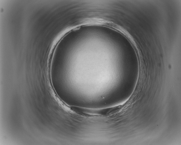 X0000067521488200604101314