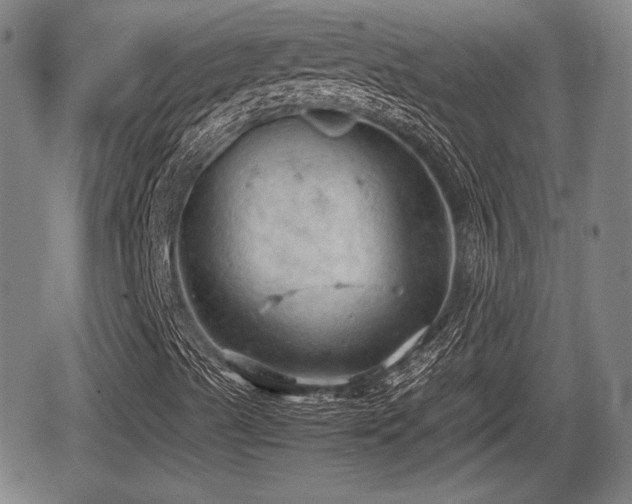 X0000067521489200604101313