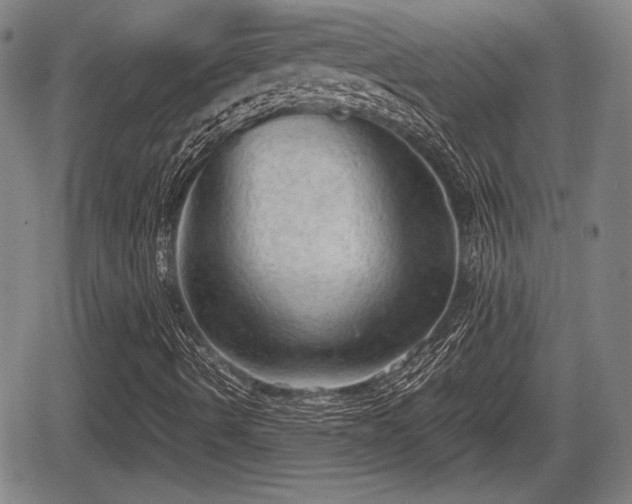 X0000067521490200604101313