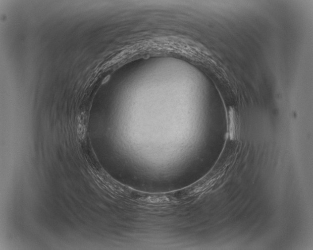 X0000067521491200604101313