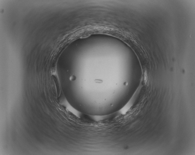 X0000067521492200604101313