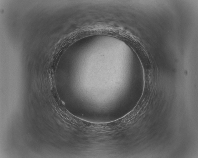 X0000067521493200604101313