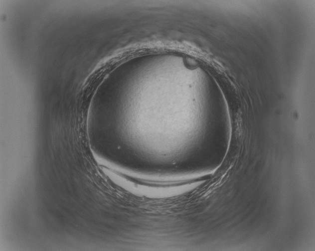 X0000067521494200604101313