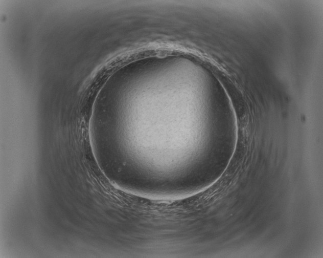 X0000067521495200604101313