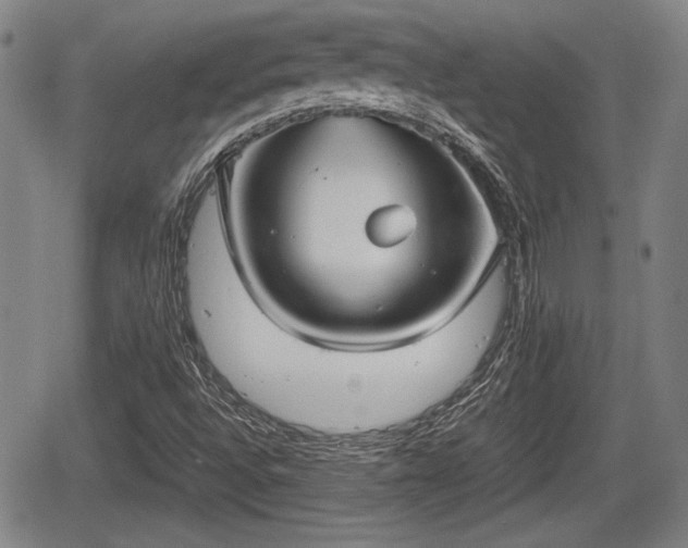 X0000067521496200604101313