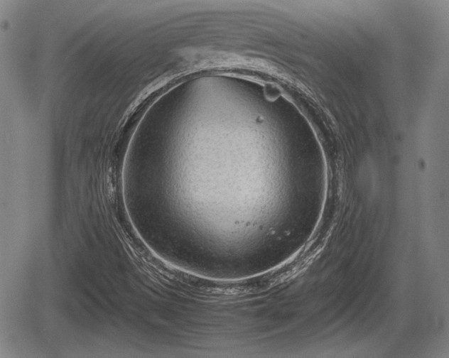 X0000067521497200604101313