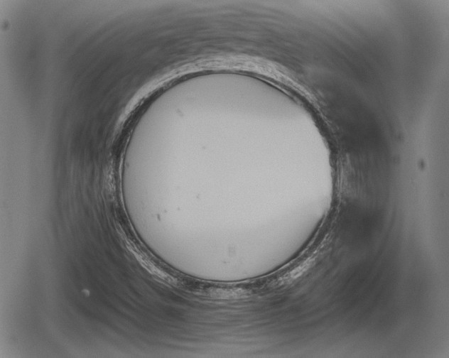 X0000067521498200604101313