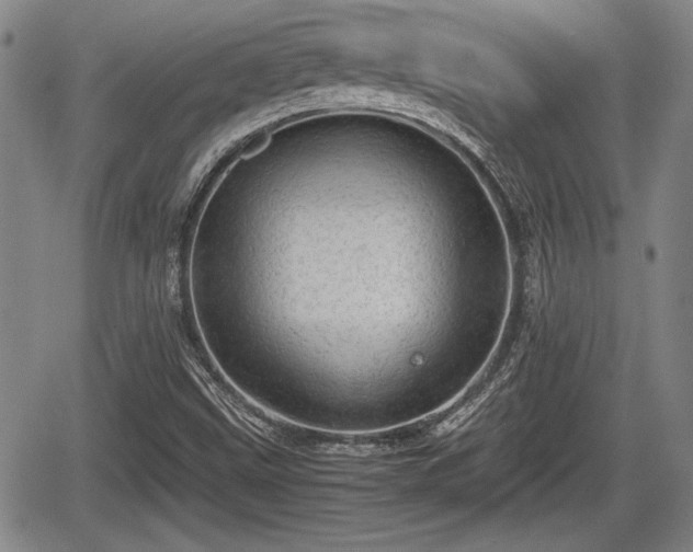 X0000067521499200604101313