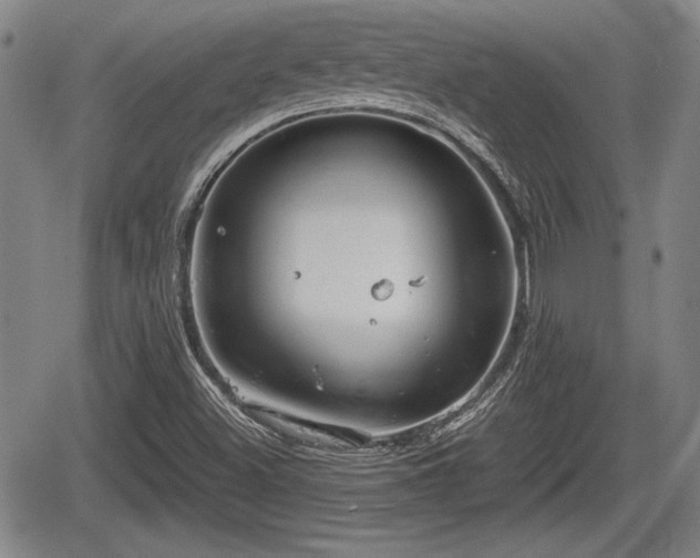 X0000067521500200604101313