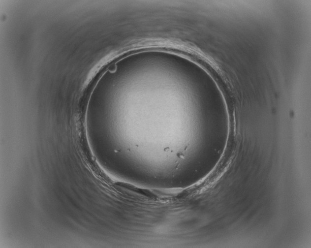 X0000067521501200604101313