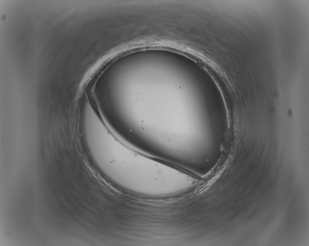 X0000067521502200604101313