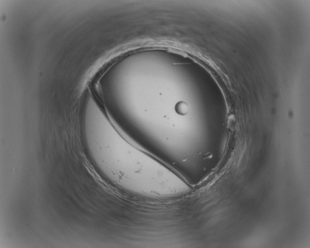 X0000067521503200604101313