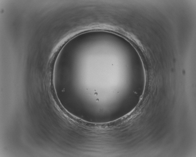 X0000067521504200604101313