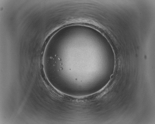 X0000067521505200604101313