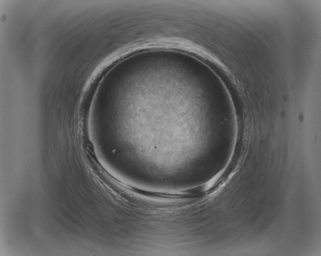 X0000067521506200604101313