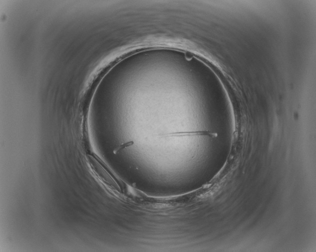 X0000067521507200604101313