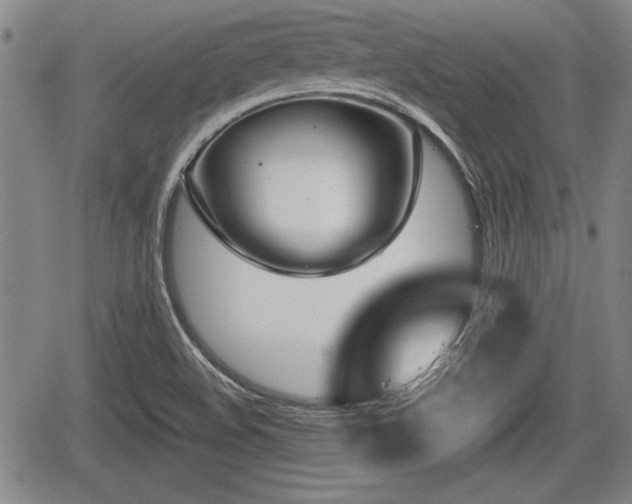 X0000067521508200604101313