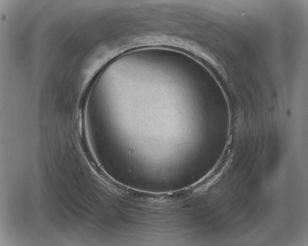 X0000067521509200604101313