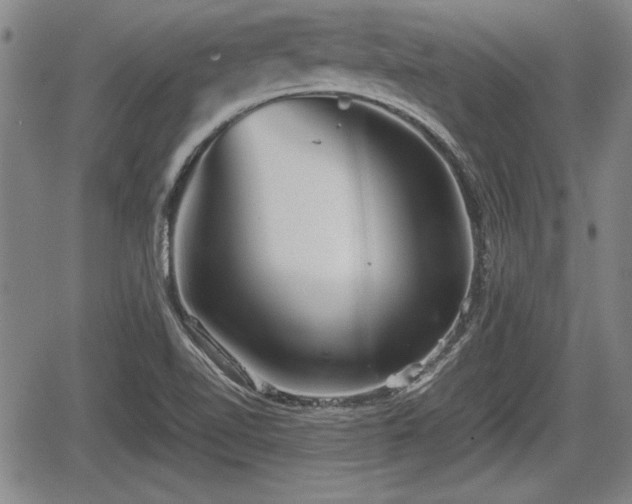 X0000067521510200604101313