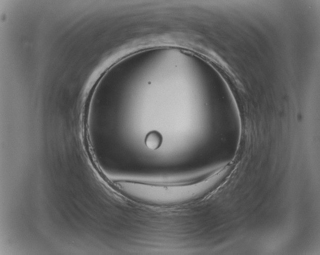 X0000067521512200604101313