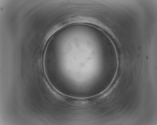 X0000067521513200604101313