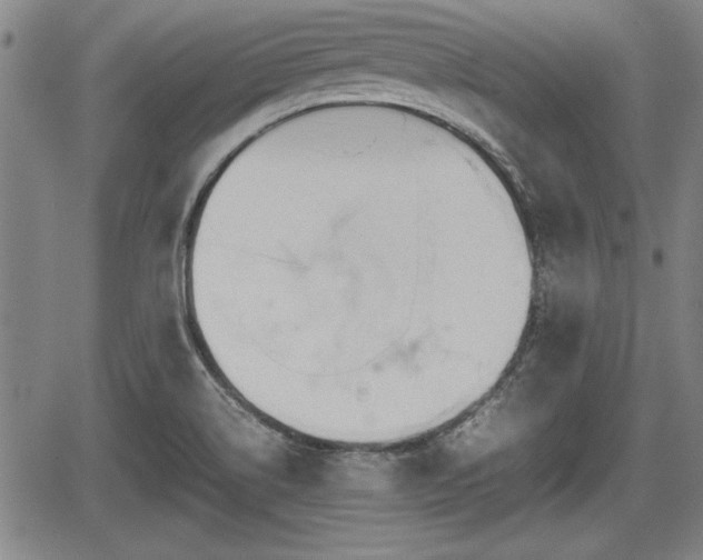 X0000067521514200604101313