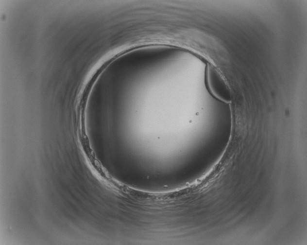 X0000067521515200604101313