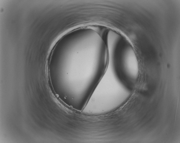 X0000067521516200604101313