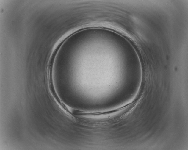 X0000067521517200604101313