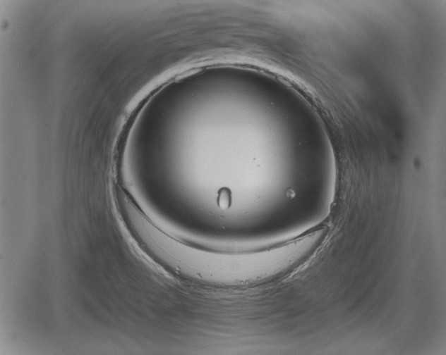 X0000067521518200604101313