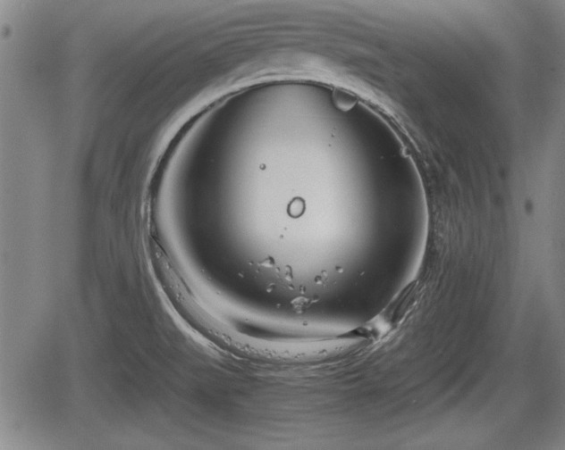 X0000067521519200604101313