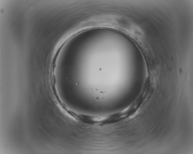 X0000067521520200604101313