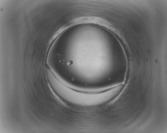 X0000067521521200604101313