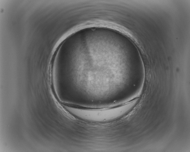 X0000067521522200604101313