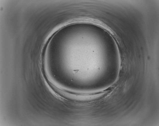 X0000067521523200604101313