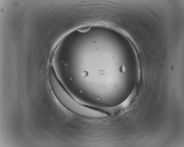 X0000067521524200604101313