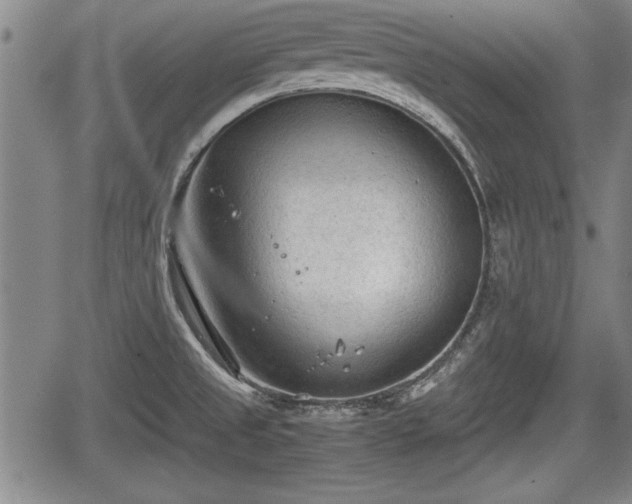 X0000067521525200604101314