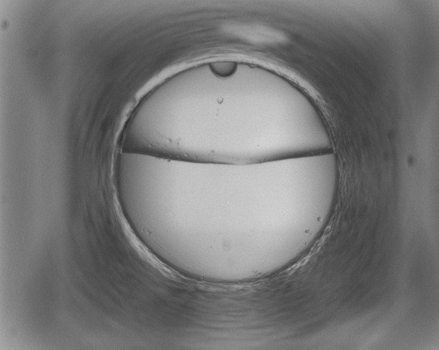 X0000067521526200604101314