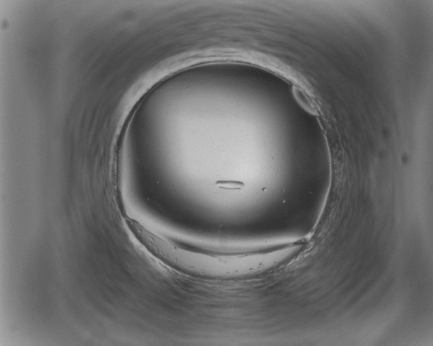 X0000067521527200604101314