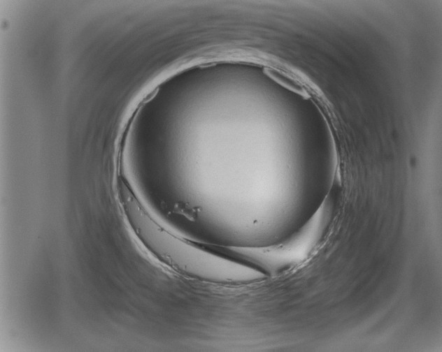 X0000067521528200604101314