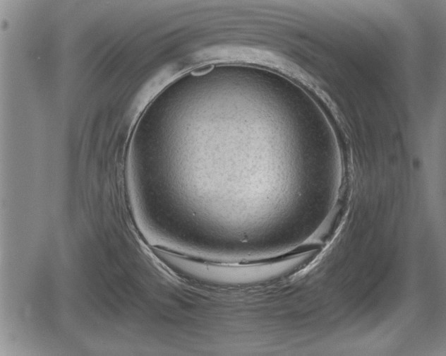 X0000067521529200604101314