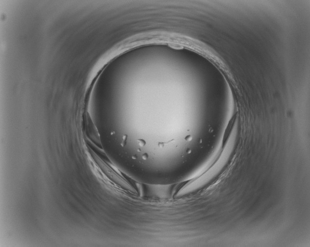 X0000067521530200604101314