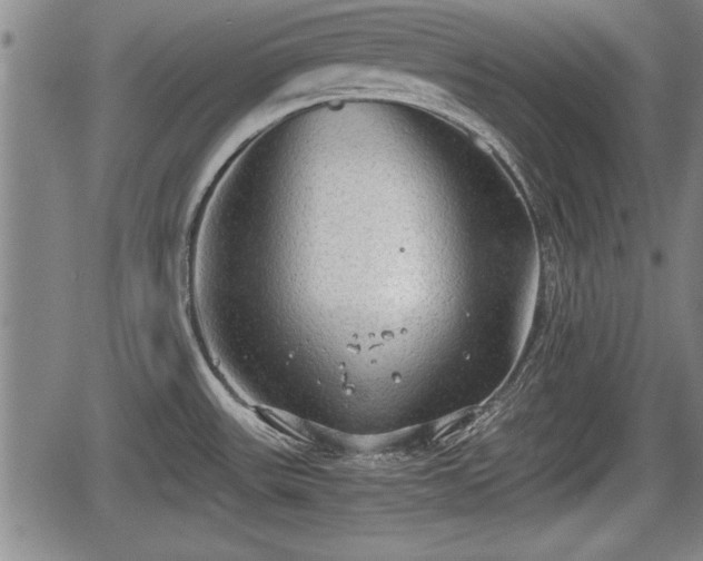 X0000067521531200604101314