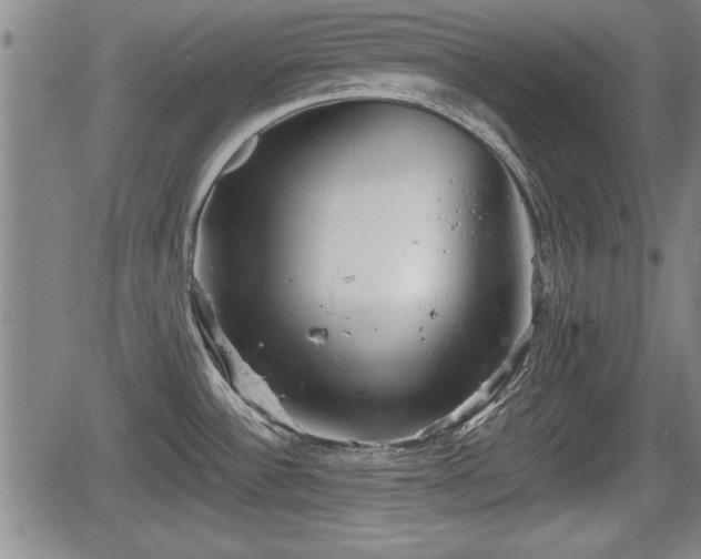 X0000067521532200604101314