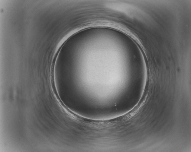 X0000067521533200604101314