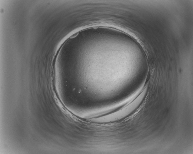 X0000067521534200604101314