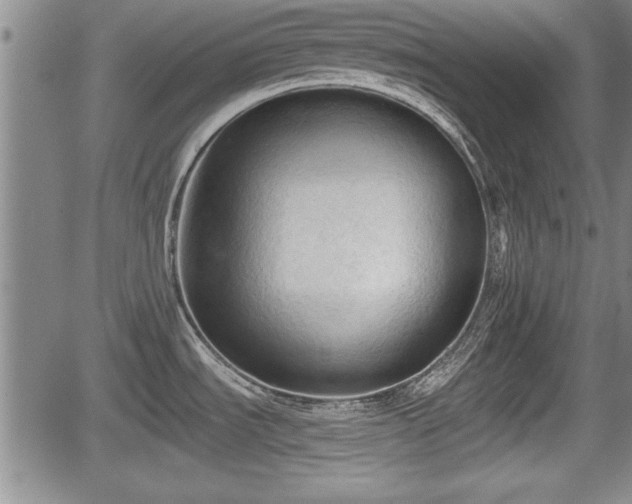 X0000067521535200604101314