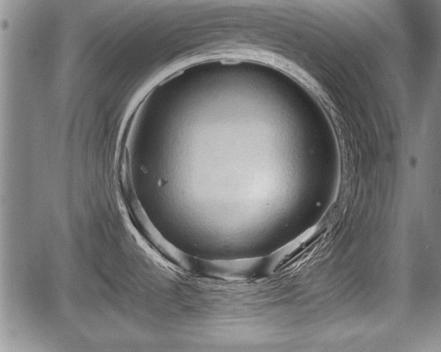 X0000067521536200604101314