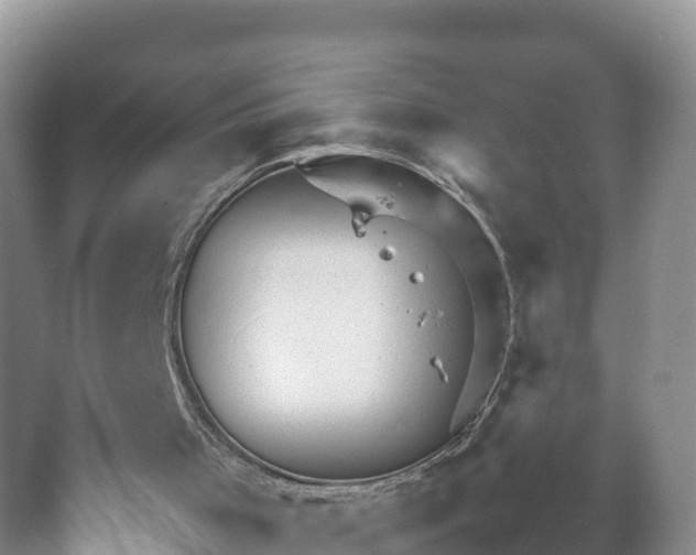 X0000067520001200604150212